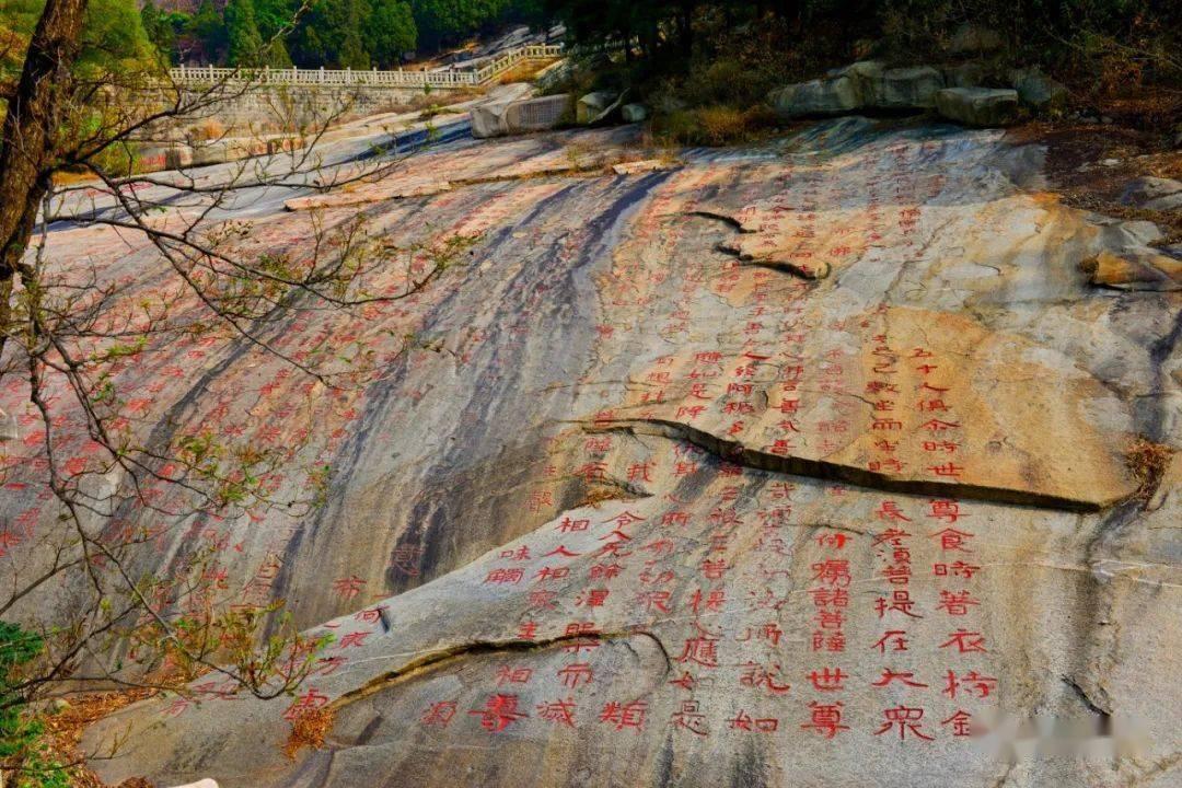 “单方面事故、4人死亡”广东河源一摩托车酿悲剧，家属如何追责？游戏画面